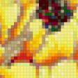 Предпросмотр схемы вышивки «пион» (№705381)