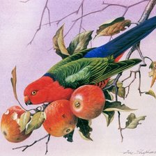 Схема вышивки «№705430»