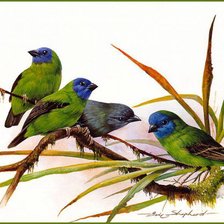 Схема вышивки «№705626»