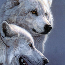 Схема вышивки «Волки»