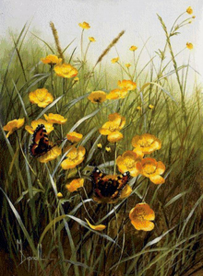бабочки на лугу - лютик, луг, трава, цветы, бабочки - предпросмотр