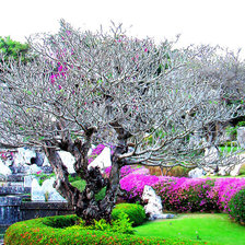 Схема вышивки «пейзаж»