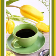 Желтые тюльпаны