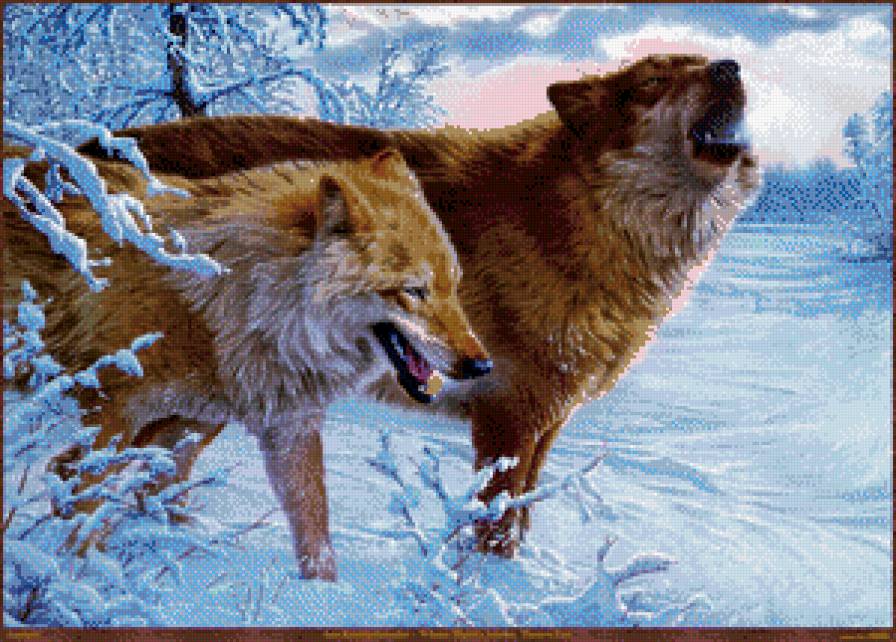 волк с лисой - предпросмотр