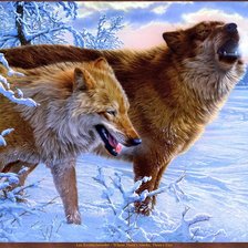 Схема вышивки «волк с лисой»