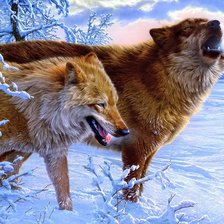 Схема вышивки «волк с лисой 2»