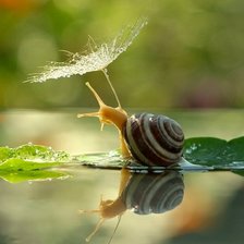 Схема вышивки «Улитка»