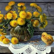 одуванчики