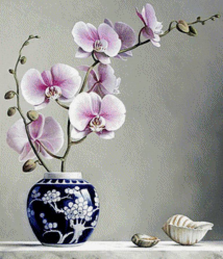 орхидея - орхидея - предпросмотр