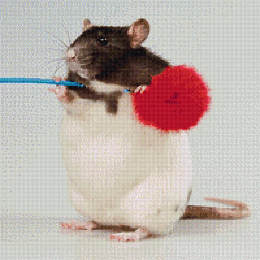 Крыс - предпросмотр