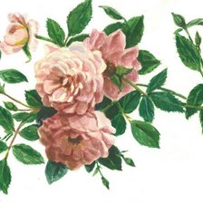 Схема вышивки «№705933»