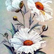 Схема вышивки «Белый пион»