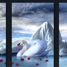 Схема вышивки «Девушка с лебедем»