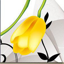 Желтые тюльпаны