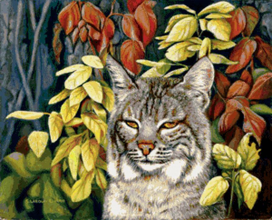 рысь - кошки, листья, животные, осень, рыси - предпросмотр