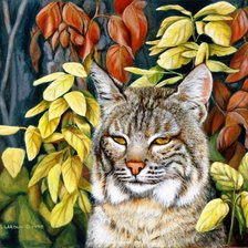 Схема вышивки «рысь»