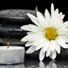 Схема вышивки «ромашка»