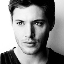 Схема вышивки «Дженсен»