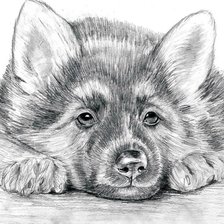 Схема вышивки «Щенок»