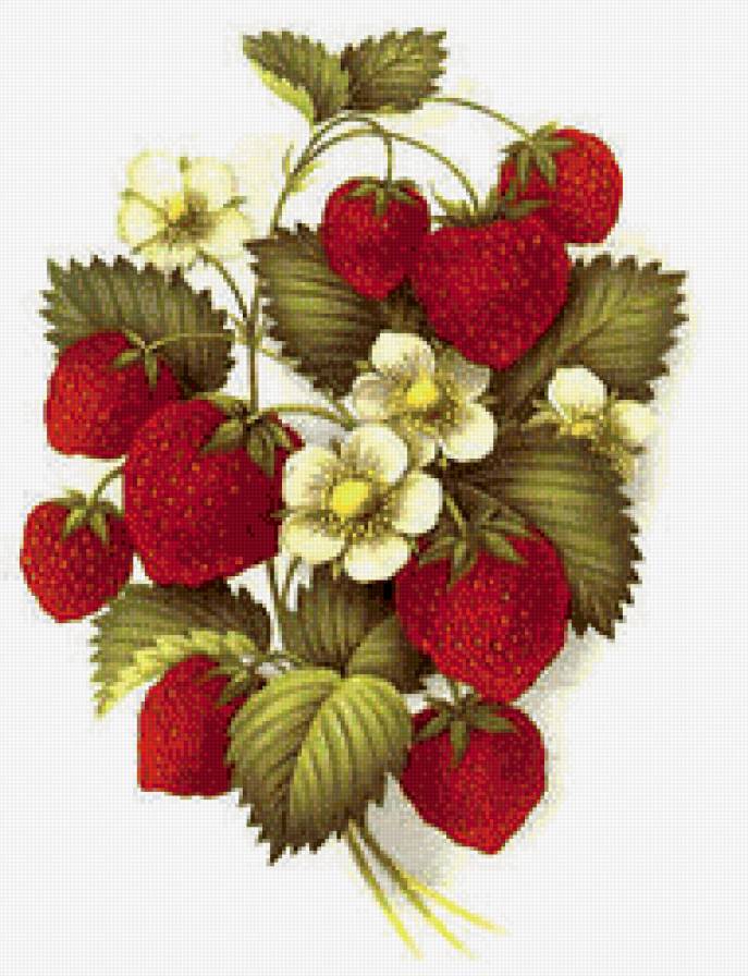 клубника - клубника, ягоды, цветы - предпросмотр