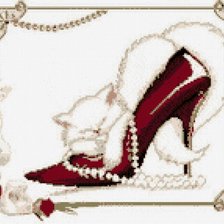 Кошечка в туфле