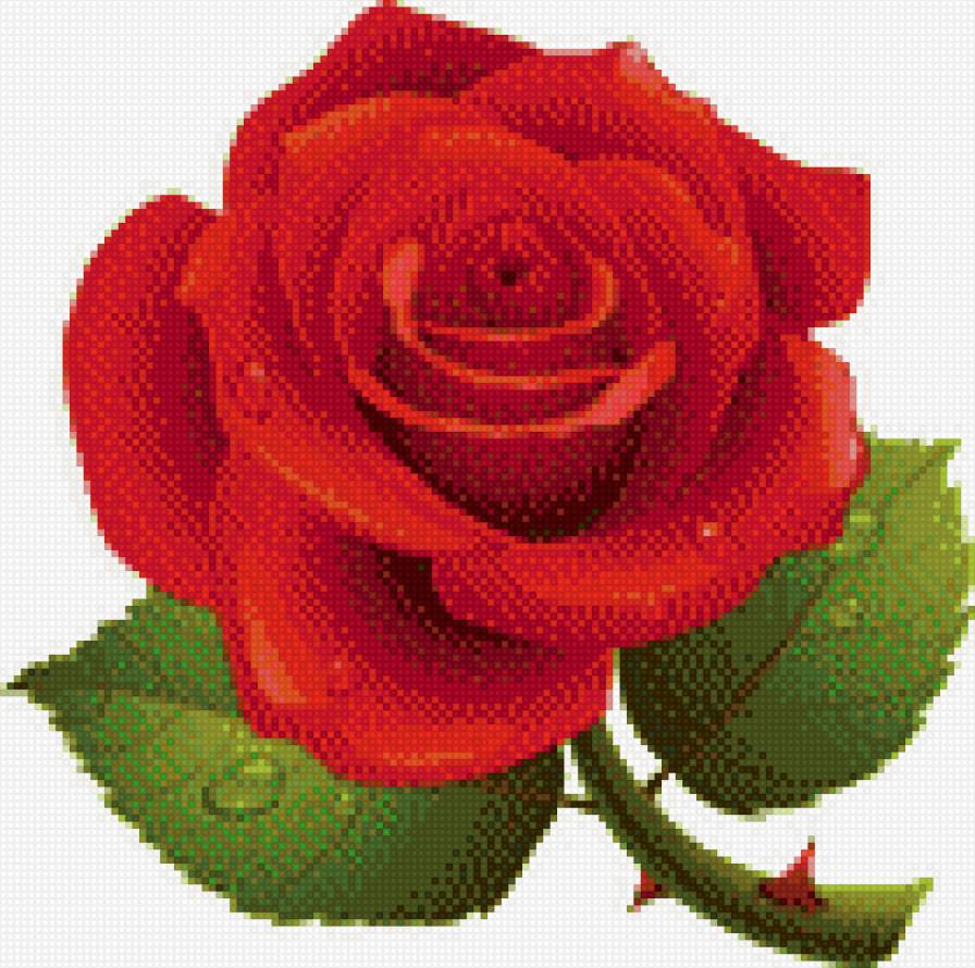 Подушка (зеркальное отражение) - роза, подушка - предпросмотр