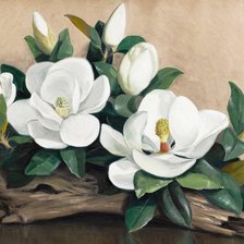 Схема вышивки «белые цветы»