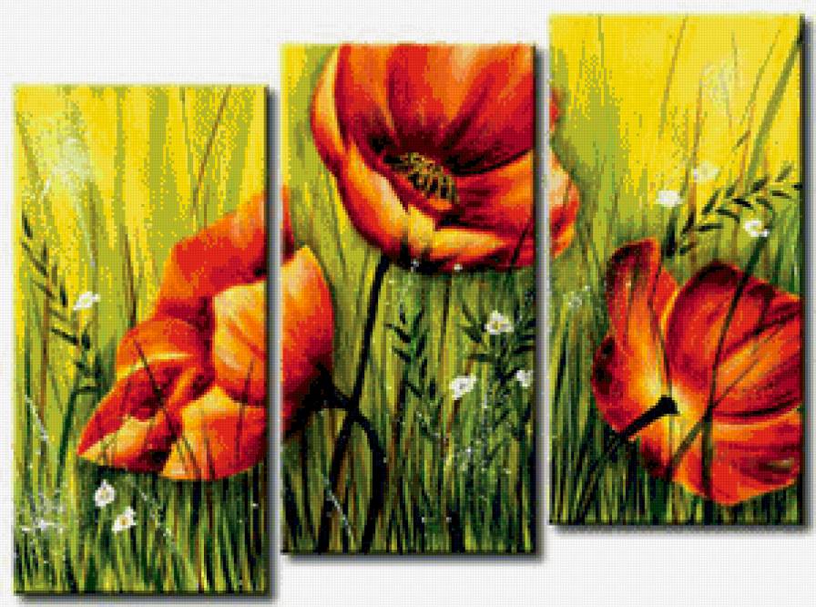 Маки - сегментированные картины - предпросмотр