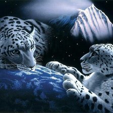 Схема вышивки «05»