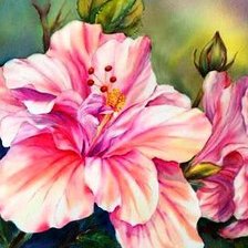 Схема вышивки «гибискус»