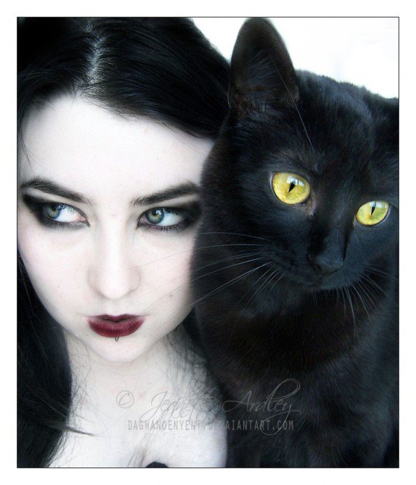 пара кошек - девушка, котики, кот, коты - оригинал