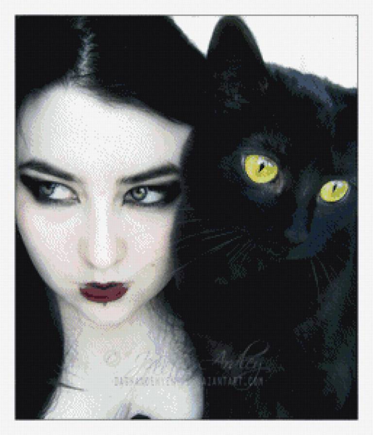 пара кошек - котики, коты, кот, девушка - предпросмотр