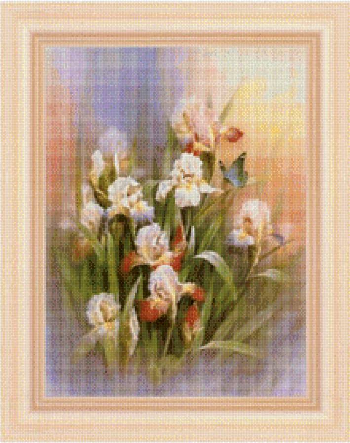 видение - предпросмотр