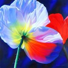 Схема вышивки «белый мак»