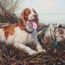 Схема вышивки «0196»