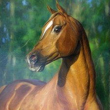 Схема вышивки «0197»