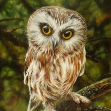 Схема вышивки «0200»