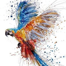 Схема вышивки «попугай»