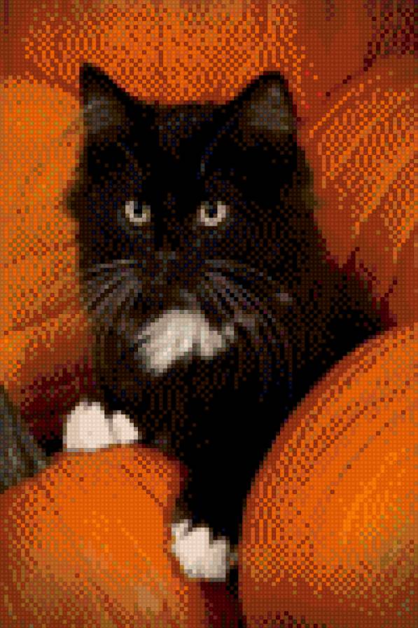 кристя - кошки, животные - предпросмотр