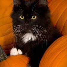 Схема вышивки «кристя»