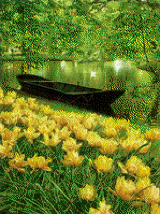 лето - природа, лето - предпросмотр