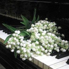 Схема вышивки «серия "музыка"»