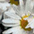 Предпросмотр схемы вышивки «Ромашки» (№707248)