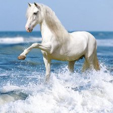 Схема вышивки «Лошадь»