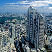 Схема вышивки «Токио»