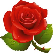 Схема вышивки «Роза №1»