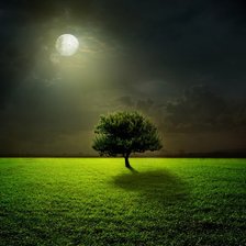 Схема вышивки «Под луной»