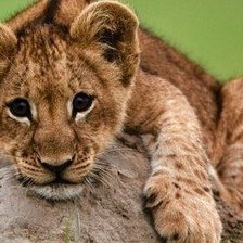 Схема вышивки «№707586»