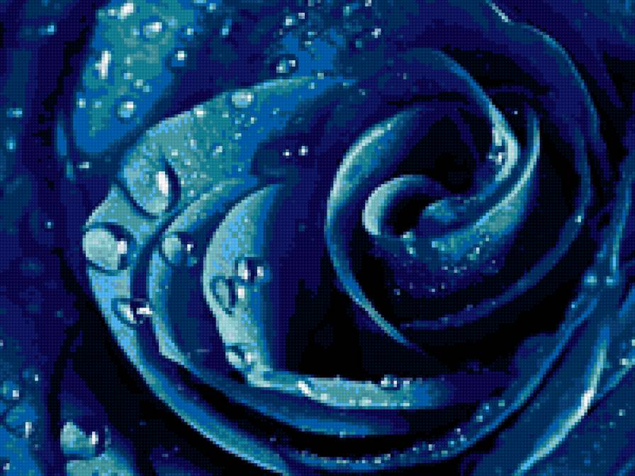 роза - бутон, розы, цветы - предпросмотр