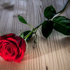 Схема вышивки «№707904»